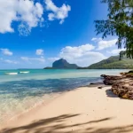 Mauritius, Spot Terbaik Menikmati Keindahan Bawah Laut di Afrika