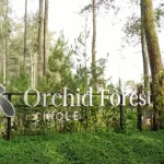 Orchid Forest Lembang, Wisata Alam dengan Suasana Hutan yang Sejuk di Bandung