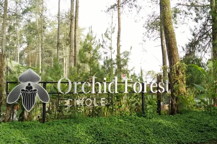 Orchid Forest Lembang, Wisata Alam dengan Suasana Hutan yang Sejuk di Bandung
